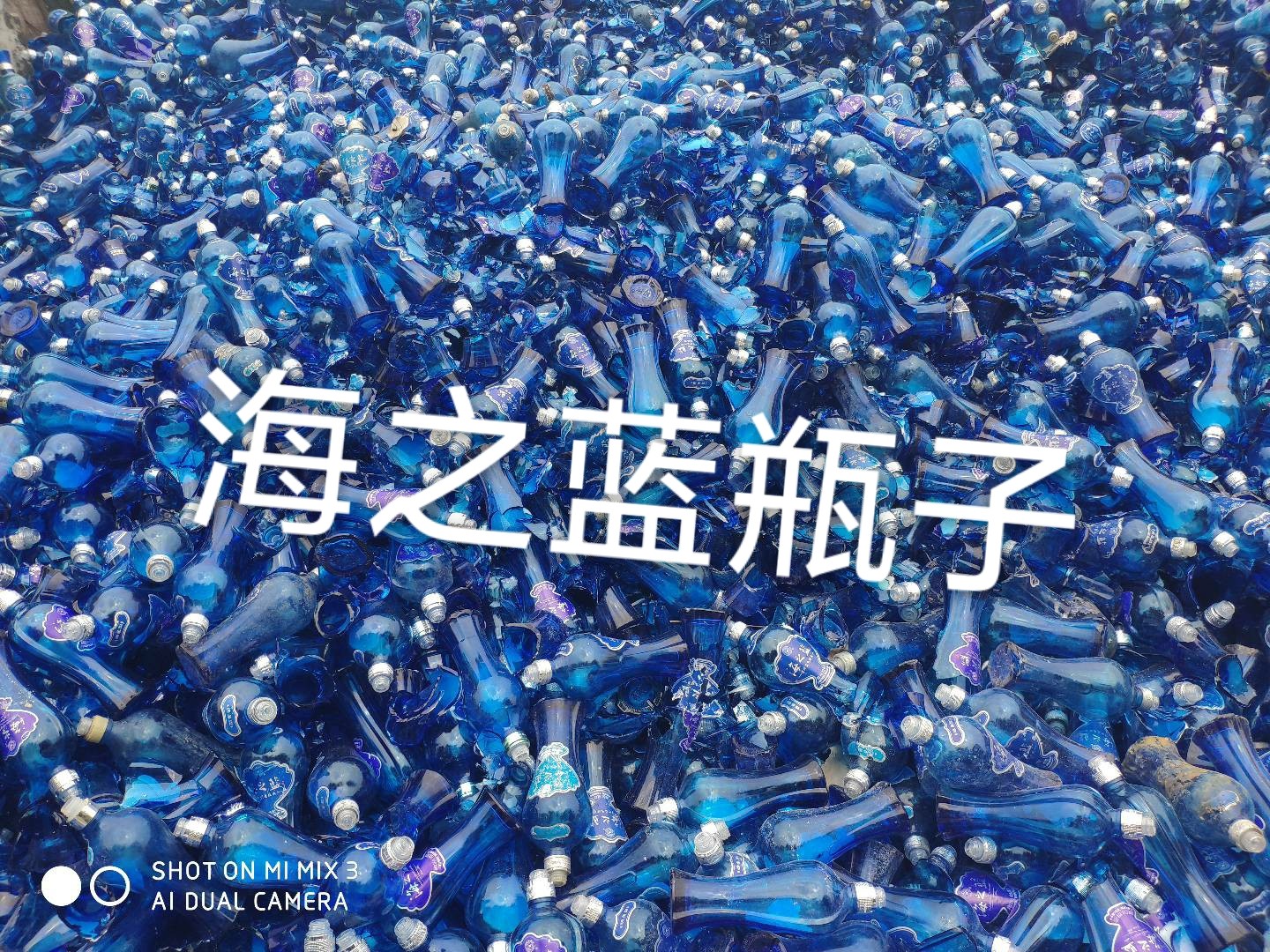 工业园区海之蓝瓶回收