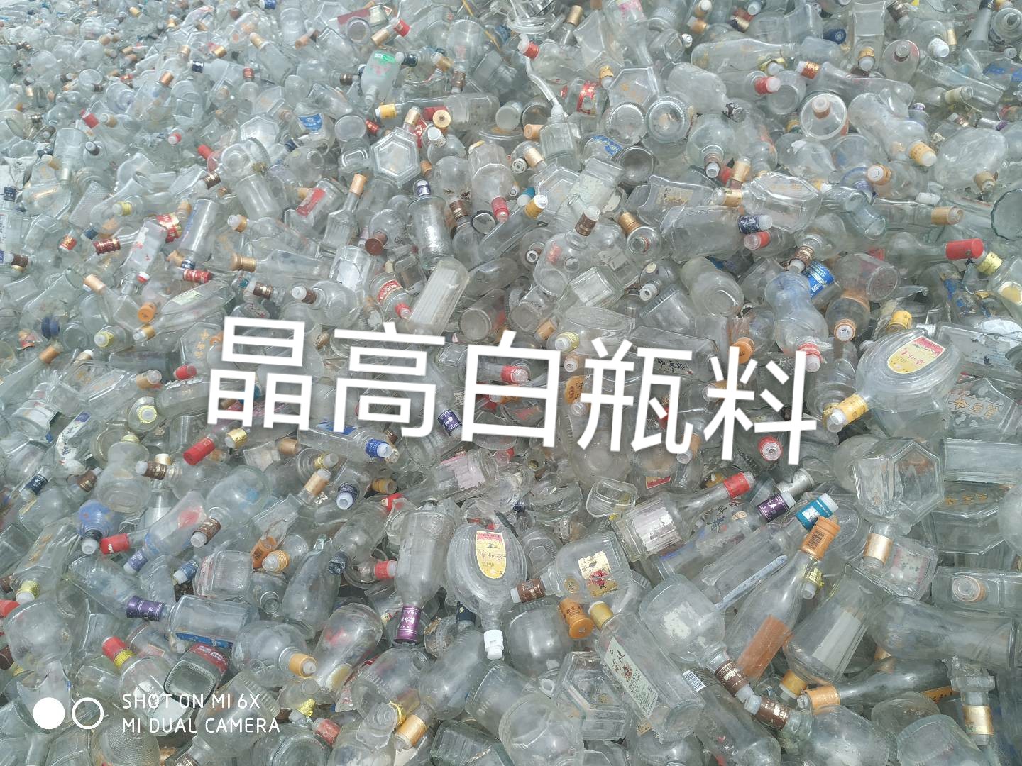 工业园区晶高白瓶料回收