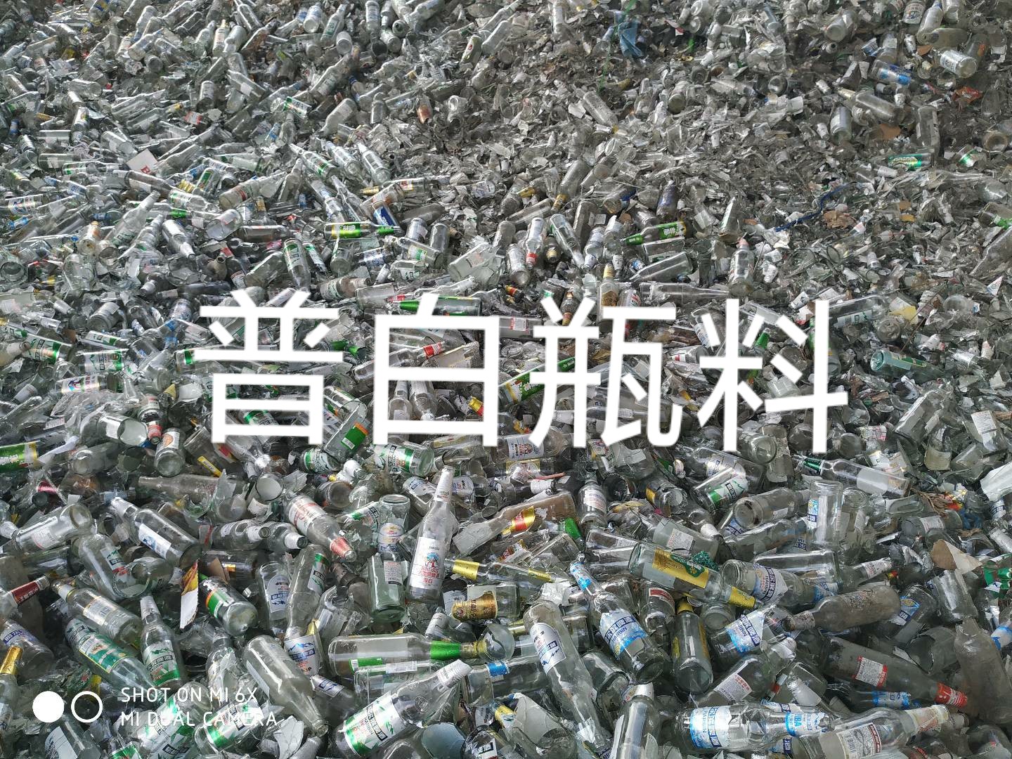工业园区普白瓶料回收